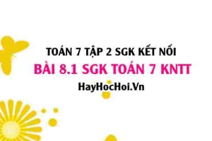 Bài 8.1 SGK Toán 7 Tập 2 Kết nối tri thức